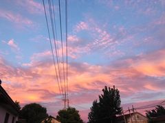 -川西坝子(老军营店)