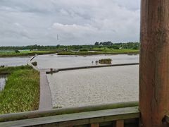 -盐城丹顶鹤湿地生态旅游区