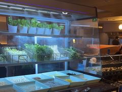 -星伦多自助料理·涮烤一体(江桥万达店)