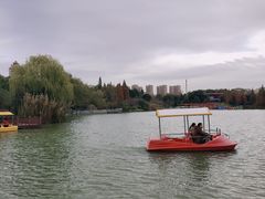-青枫公园