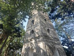 -江心屿景区