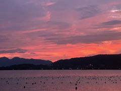 -西湖文化广场