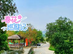 -广州市帽峰山景区