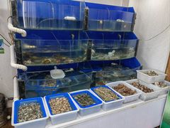 -渔家小院观海海肠捞饭地方菜(环海中路店)