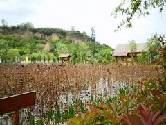 -渭南桃花源民俗文化园