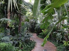 -国家植物园南园