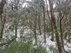 -龙苍沟森林公园