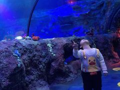 -沈阳海洋探索中心