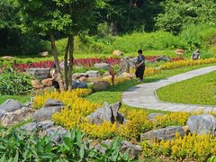 -黄埔油麻山森林公园