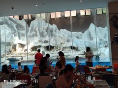 -帝企鹅自助餐厅•儿童岛•真企鹅(长隆企鹅酒店)