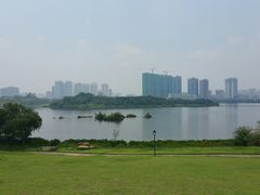 -飞来湖湿地公园