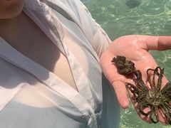 -加林娜泥浴水疗