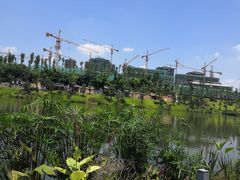 -枫香湖儿童公园