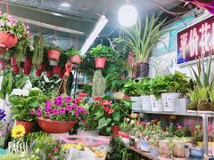 -大学城夜市大排档(凤栖路店)