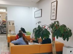 -北京观赏动物医院·24小时大型综合·猫专科·异宠专科