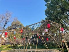 -上海醉白池公园