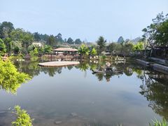 -黄龙溪欢乐田园