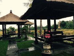 -Bebek Joni Restaurant