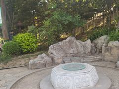 -大兴滨河森林公园