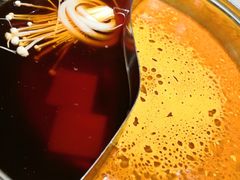 -呷哺呷哺(望京新世界店)