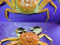 -盒马鲜生(莱蒙都会店)