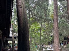 -成都武侯祠博物馆