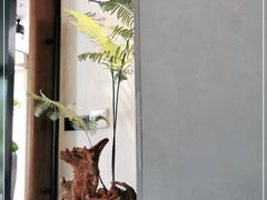 -子福慧(虹桥店)