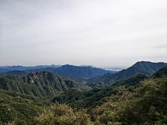 -大岭沟猕猴桃谷风景区