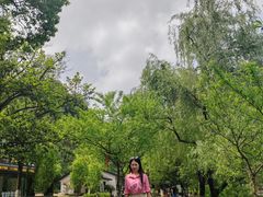 -常德桃花源景区