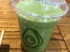 -油梨树 AVOCADO TREE(亮马桥店)