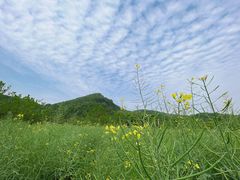 -八卦田遗址公园