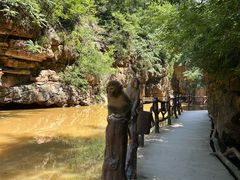 -伏羲山旅游区