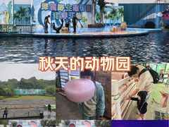 -深圳野生动物园