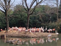 -上海野生动物园