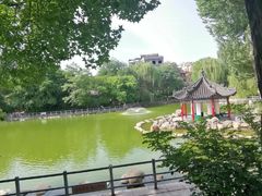 -莲湖公园