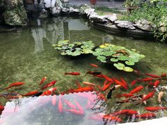 -膳和缘炒鸡店(南门路店)
