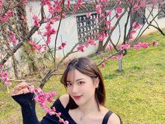 -东湖磨山景区樱花园-停车场