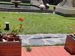 -思金拉措庄园藏餐(太阳岛店)