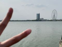 -长广溪湿地公园