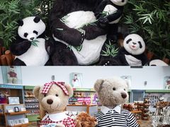 -济州岛泰迪熊博物馆