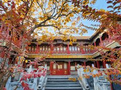 -故宫博物院(故宫)