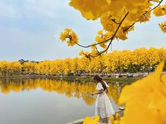 -佛山市三水温泉度假村