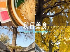 -自如ZSPACE四合院艺术餐厅