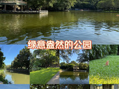 -晓港公园
