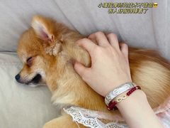 -怪兽屋·羊驼·猫咖·狗咖(俊华广场店)