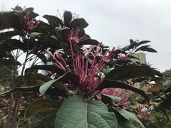 -晓港公园