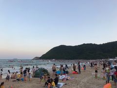 -西涌国际滨海旅游区