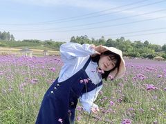 -紫颐香薰山谷景区