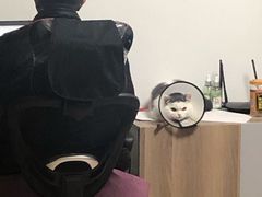 -咕噜咕噜宠物医院·CT·肿瘤科·骨科(前海院)