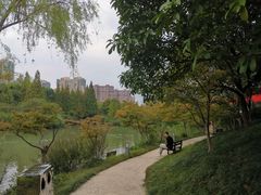 -青枫公园